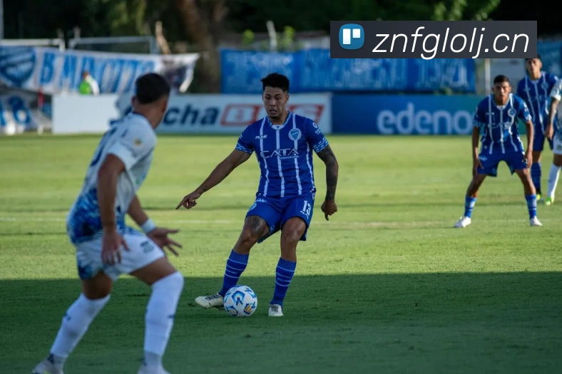 星空入口网址平台生态图