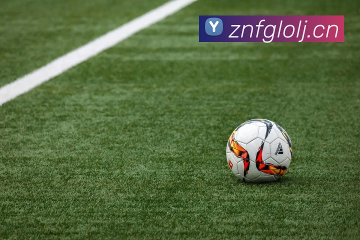 星空入口网址全站App